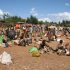 Marché de Meiganga – Jour du Marché