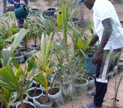 Programme de formation des jeunes