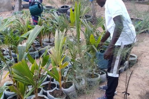 Programme de formation des jeunes