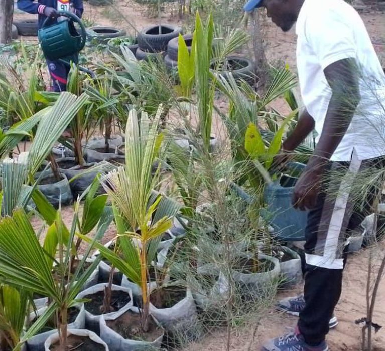 Programme de formation des jeunes